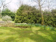 Front garden