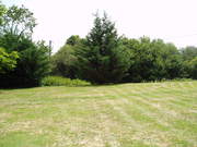 P7310020.JPG
